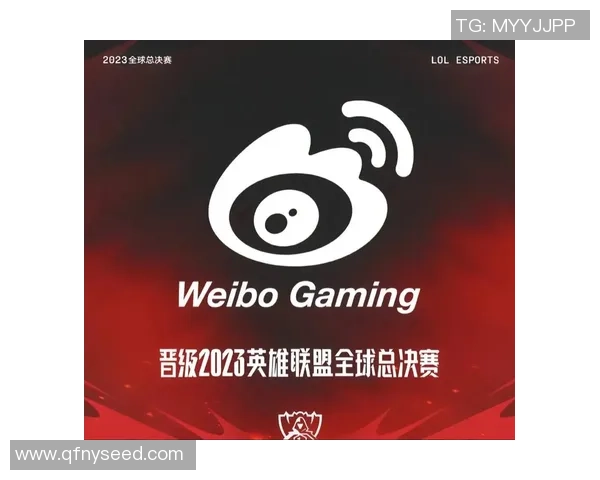 英雄联盟团队配合实力大比拼LNG战队荣登第二名引发关注